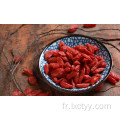 baies de goji séchées